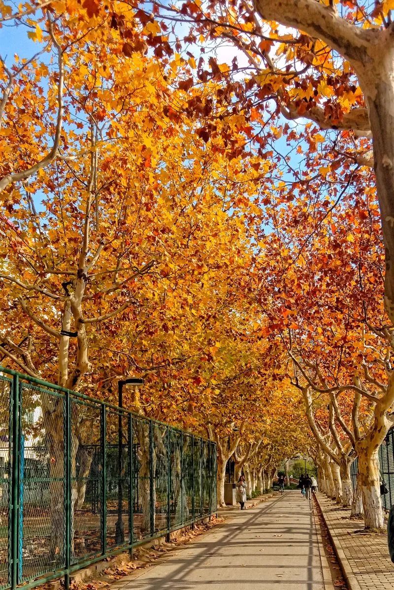 微信图片_20241230104631.jpg 微信图片_20241230104631.jpg