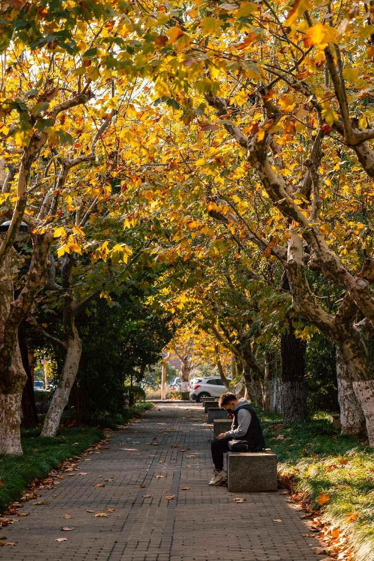 微信图片_20241230104633.png 微信图片_20241230104633.png