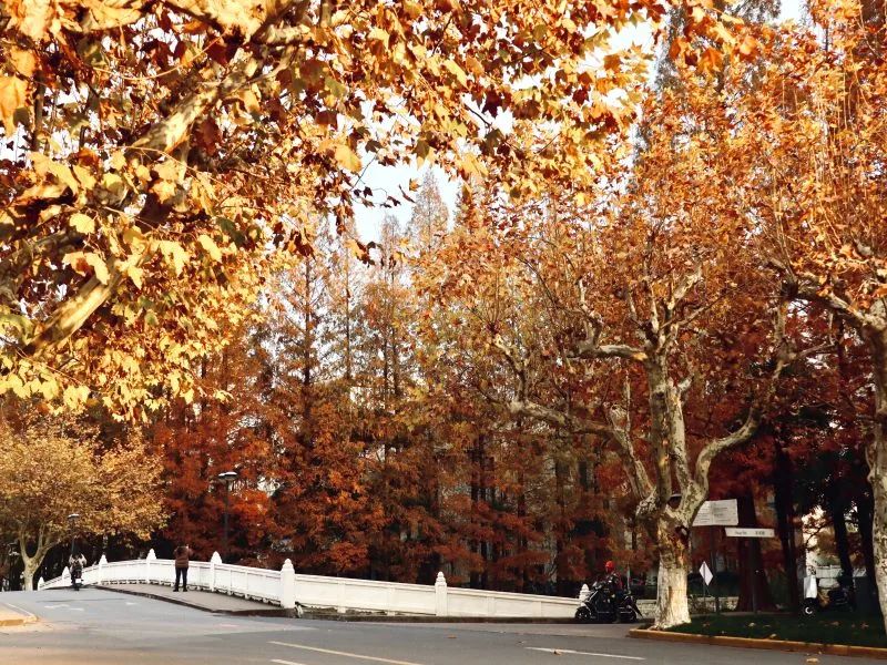 微信图片_20241230104626.jpg 微信图片_20241230104626.jpg