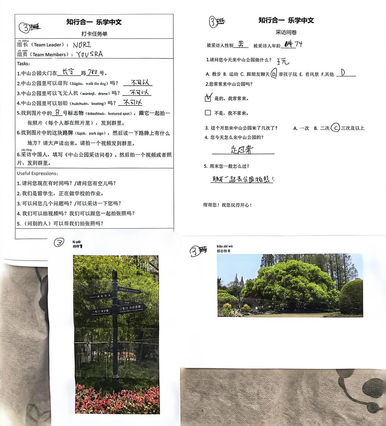 采访问卷