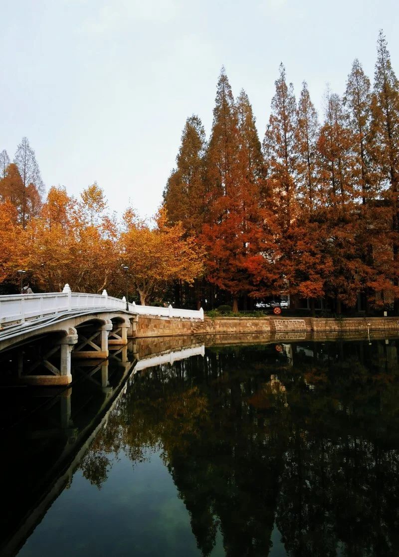 微信图片_20241230104628.jpg 微信图片_20241230104628.jpg