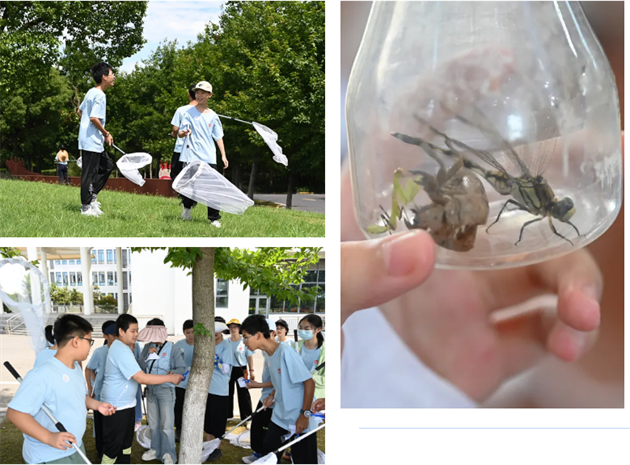 微信图片_20240730101215.png 微信图片_20240730101215.png