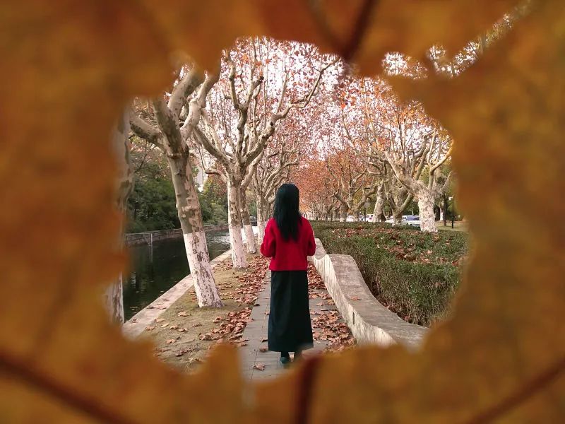 微信图片_20241230104617.jpg 微信图片_20241230104617.jpg