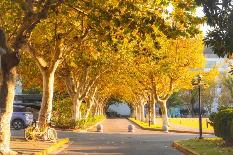 微信图片_20241230104615.jpg 微信图片_20241230104615.jpg