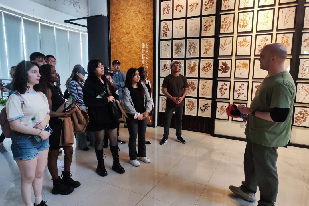 微信图片_20250410104223.jpg 微信图片_20250410104223.jpg